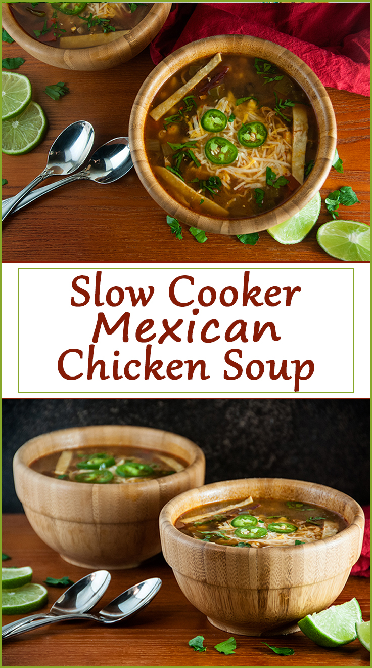 Slow Cooker Mexican Chicken Soup - Seasoned Sprinkles