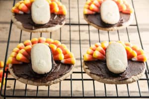 Easy Turkey Cookies