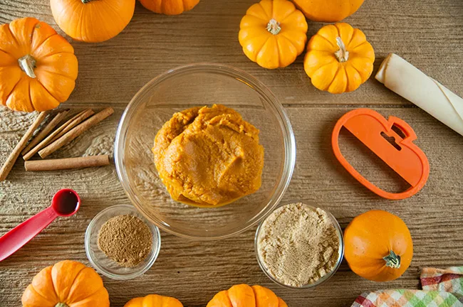Pumpkin Spice Hand Pies DIY Baking Kit - – The