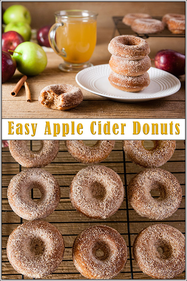 Easy Apple Cider Donuts (with Cake Mix) - Seasoned Sprinkles