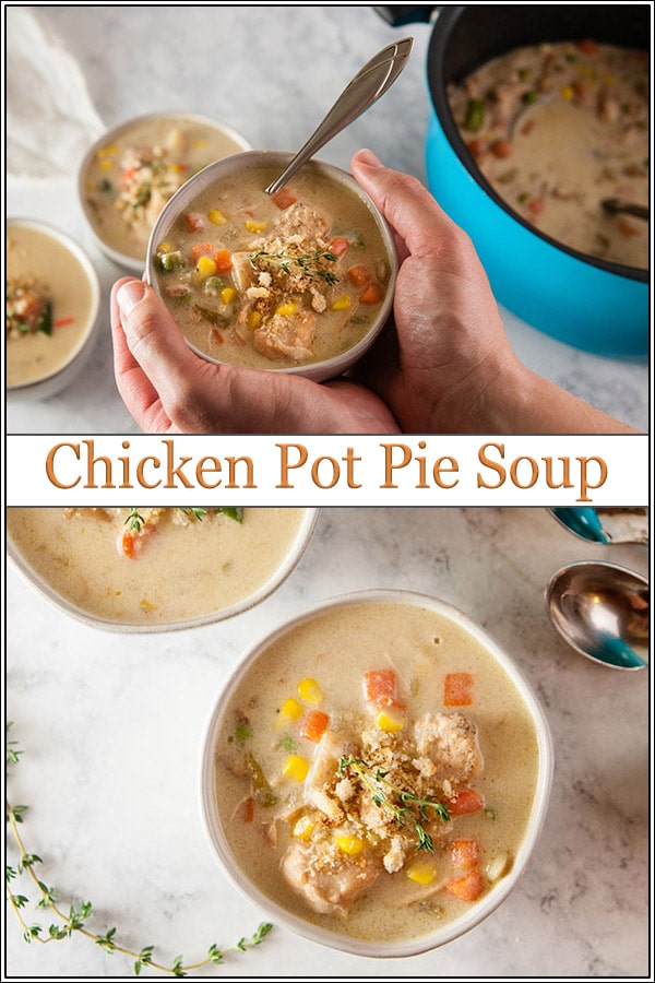 Chicken Pot Pie Soup - Seasoned Sprinkles