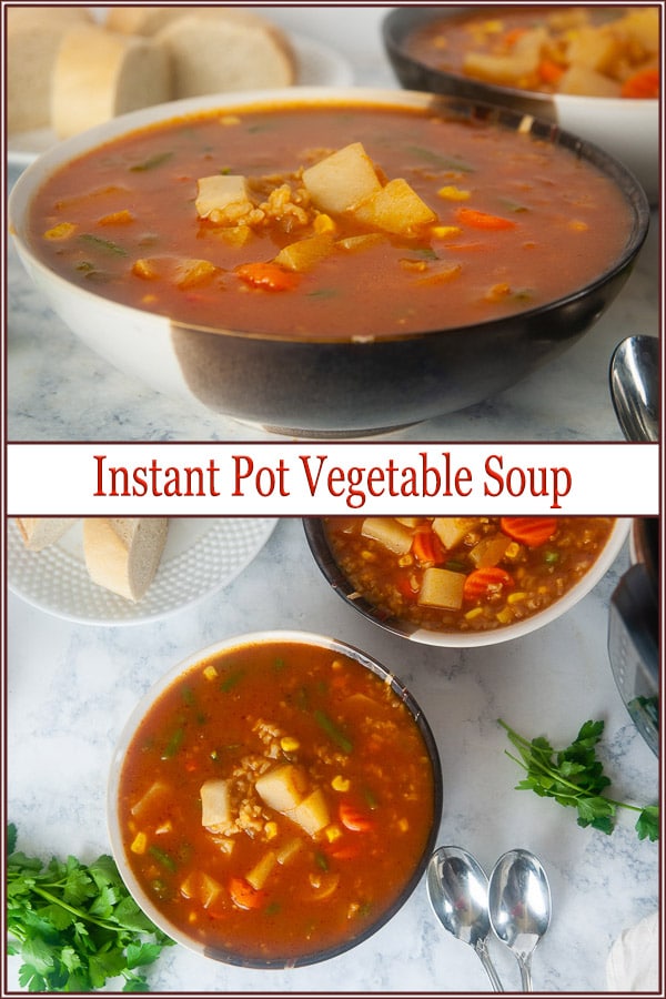 Instant Pot Vegetable Soup with Rice - Seasoned Sprinkles