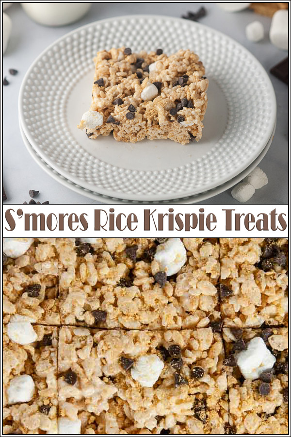 S'mores Rice Krispie Treats - Seasoned Sprinkles