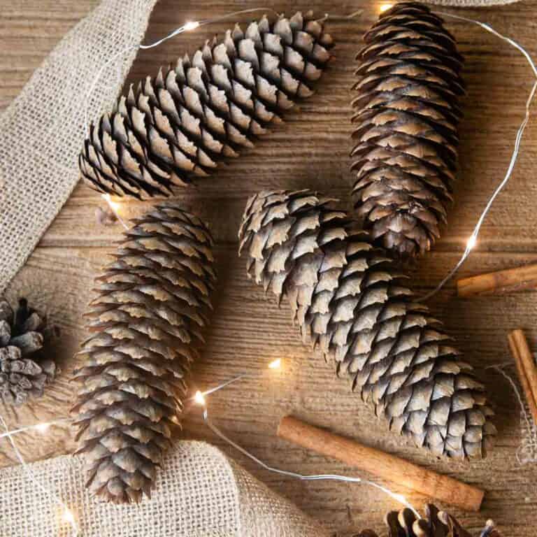 Festive diy scented pinecones on wood with cinnamon brighten up the colder months