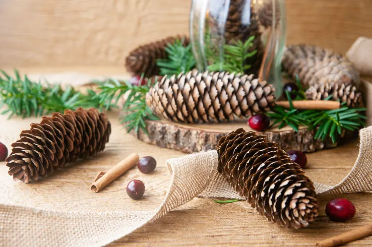 How to Make Cinnamon-Scented Pinecones (Two Easy Tutorials)
