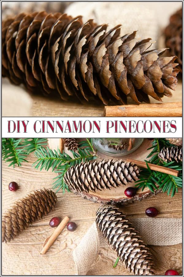 How to Make Cinnamon Pine Cones Seasoned Sprinkles