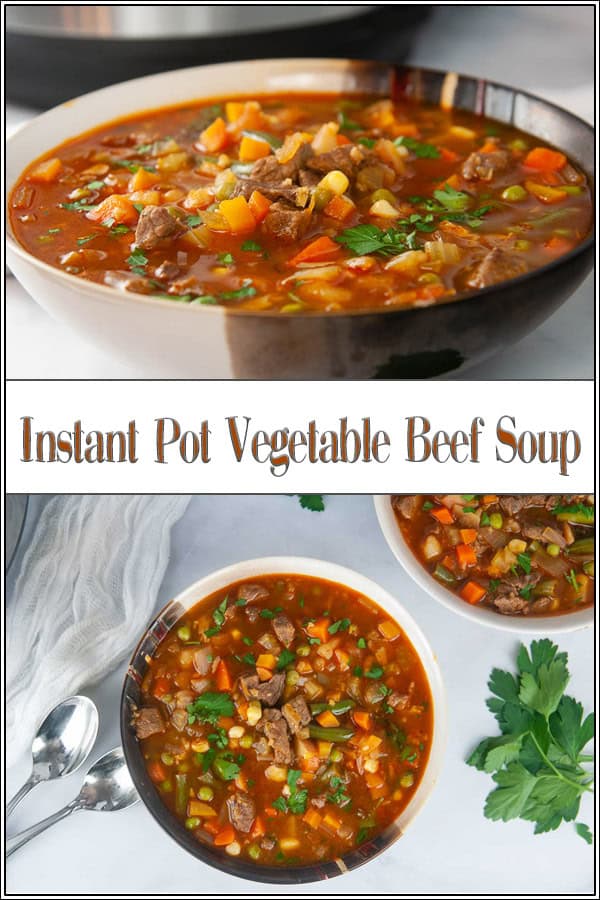 Instant Pot Vegetable Beef Soup - Seasoned Sprinkles