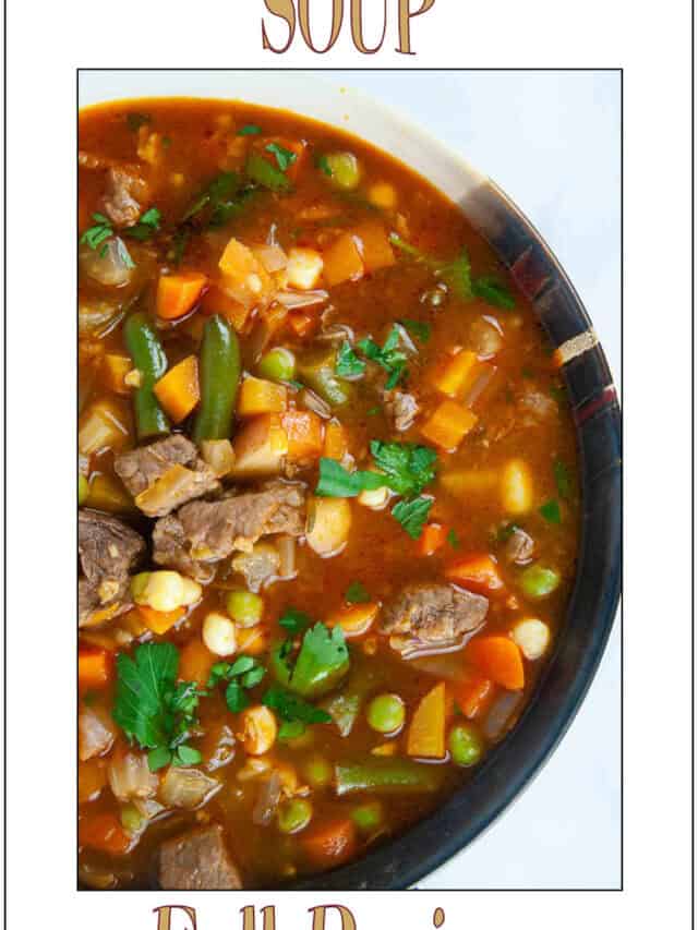 Instant Pot Vegetable Beef Soup