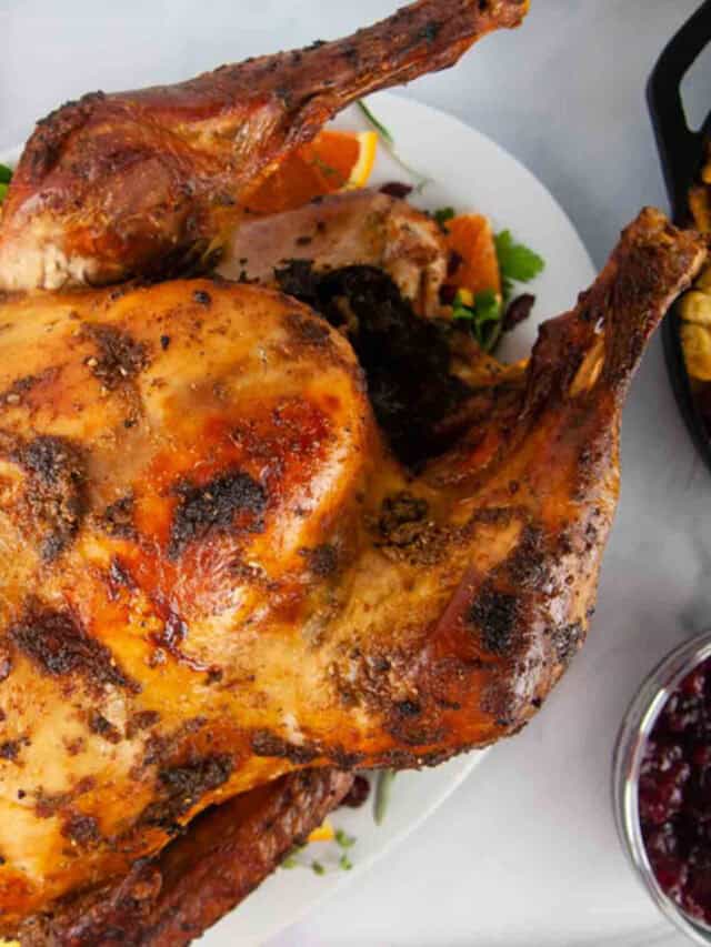 cropped-Baste-for-a-turkey-webstory.jpg