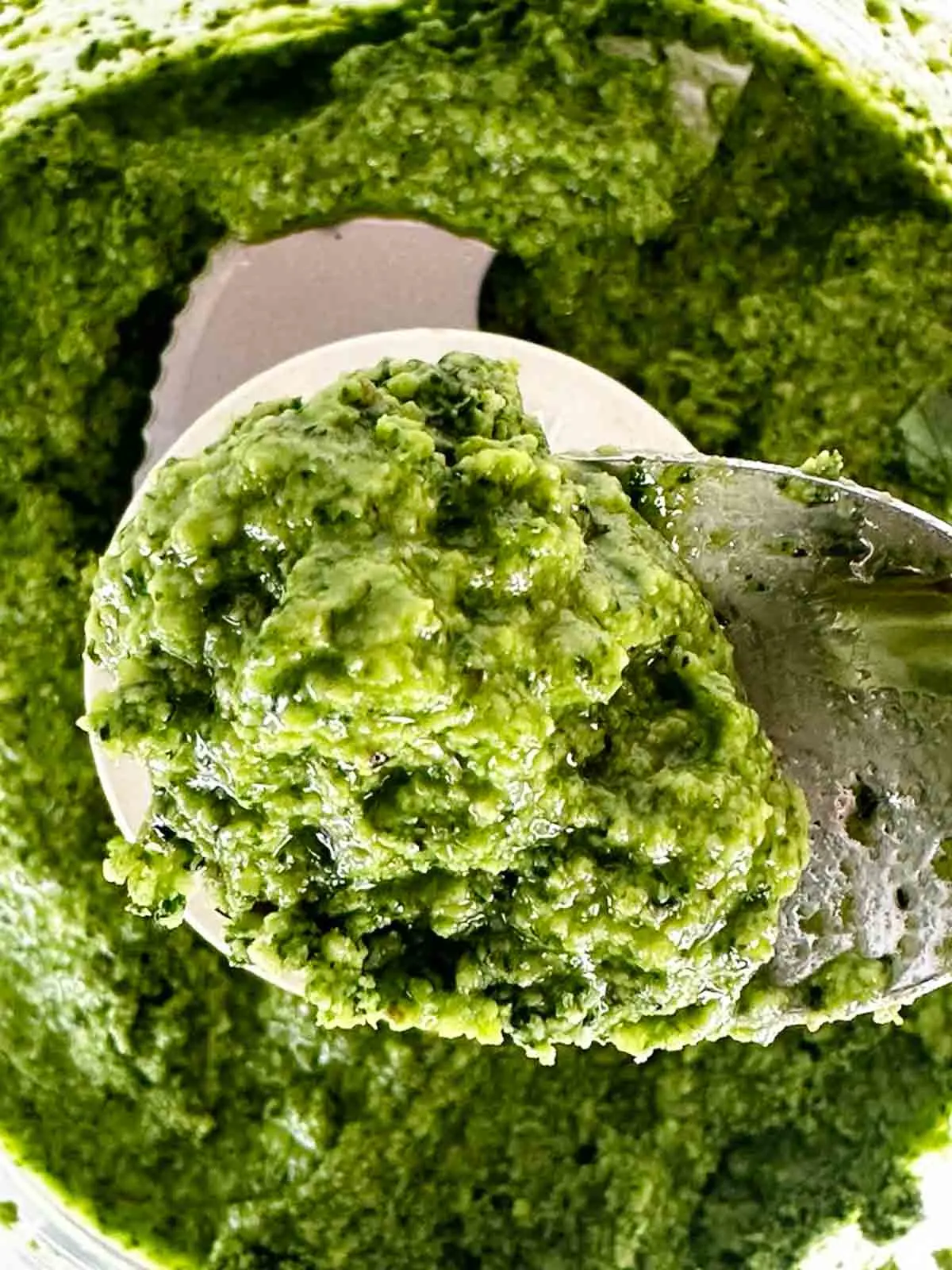 After pulsing about 3/4 cup of olive oil into your pesto with walnuts, check the consistency. If it is very thick like this, you need more olive oil.