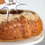 A photo of apple cider cake on a cake stand set into a text box reading apple cider bundt cake from cake mix