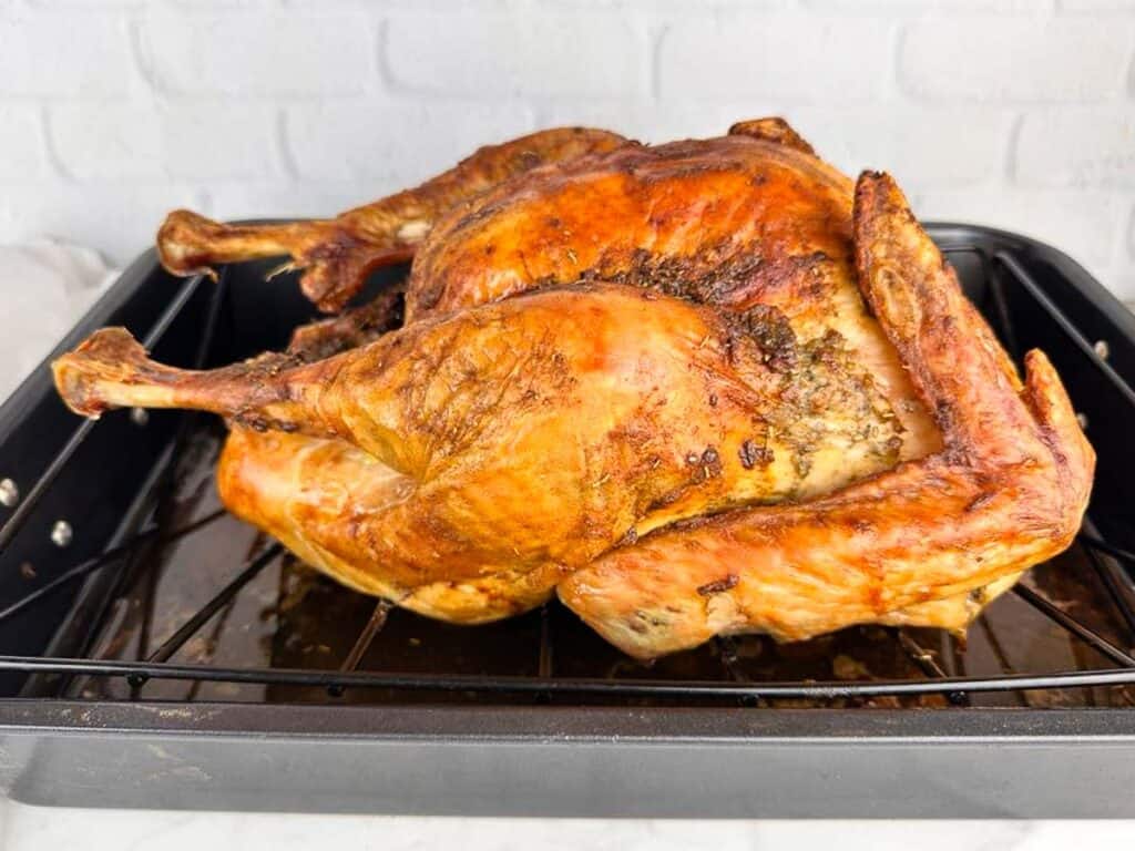 Turkey in a convection oven fresh from the oven with browned skin.