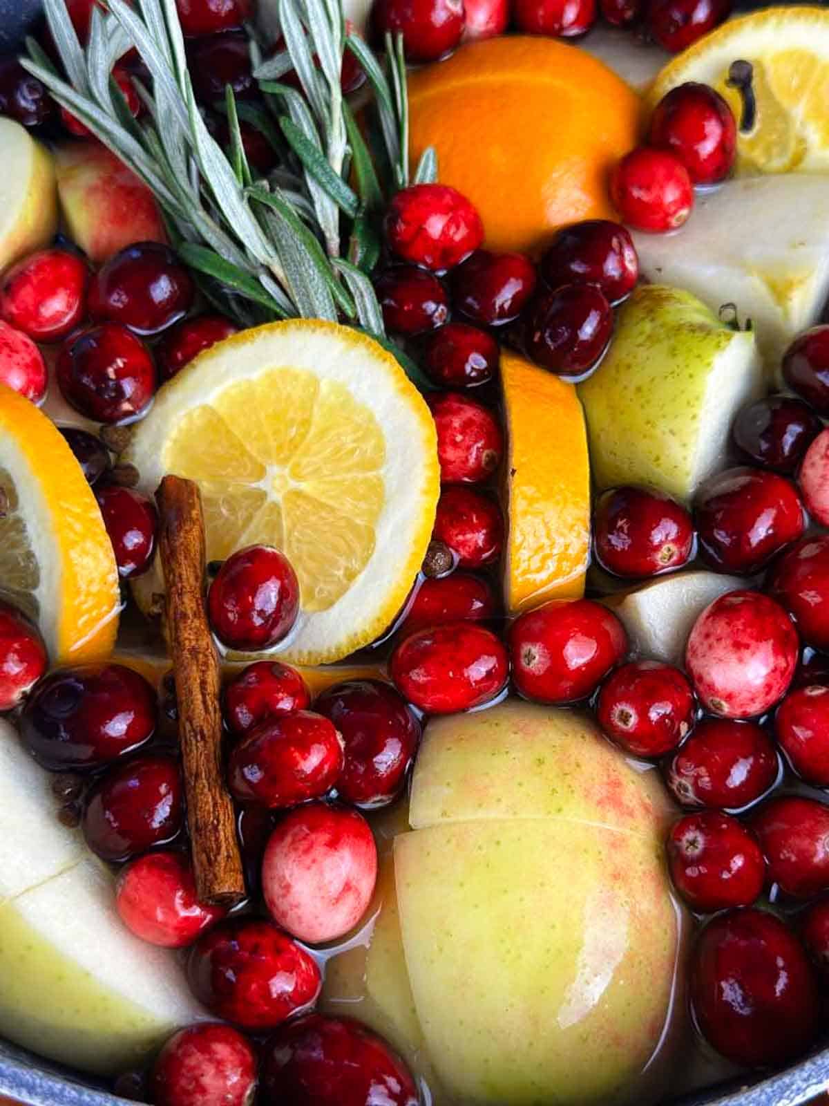 A beautiful blend of cranberries, orange slices, apples, cinnamon and spices in a Christmas simmer pot