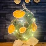 A photo of mini Christmas tree decorated with oven dried orange slice ornaments set into a decorative text box that read dried orange slice ornaments