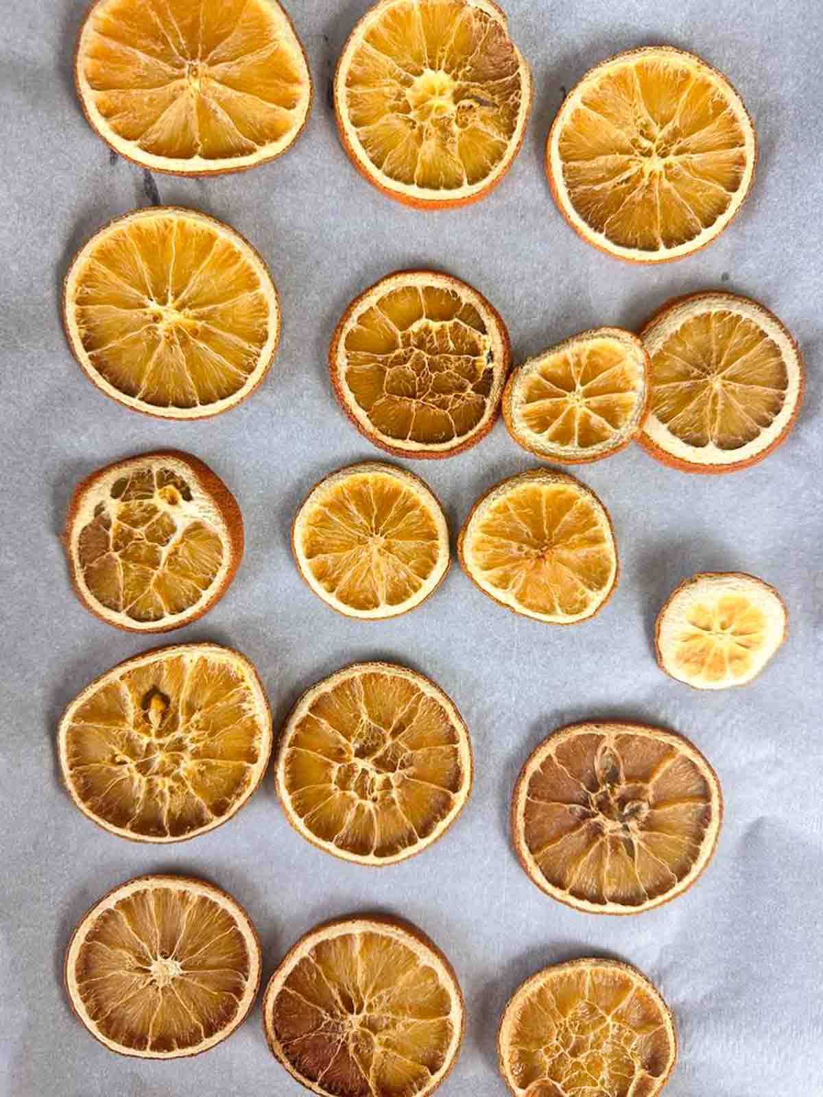 Oven dried orange slices on parchment paper