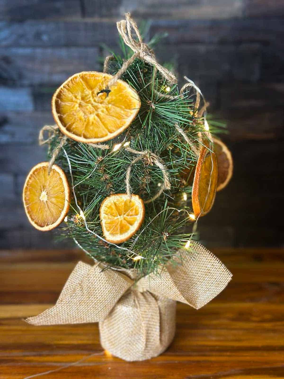 A mini Christmas tree decorated with dried orange slices on a kitchen counter