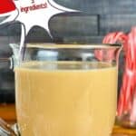 a photo of a cup of coffee with candy canes set into a text box reading 3 Ingredient Peppermint Mocha Coffee Creamer