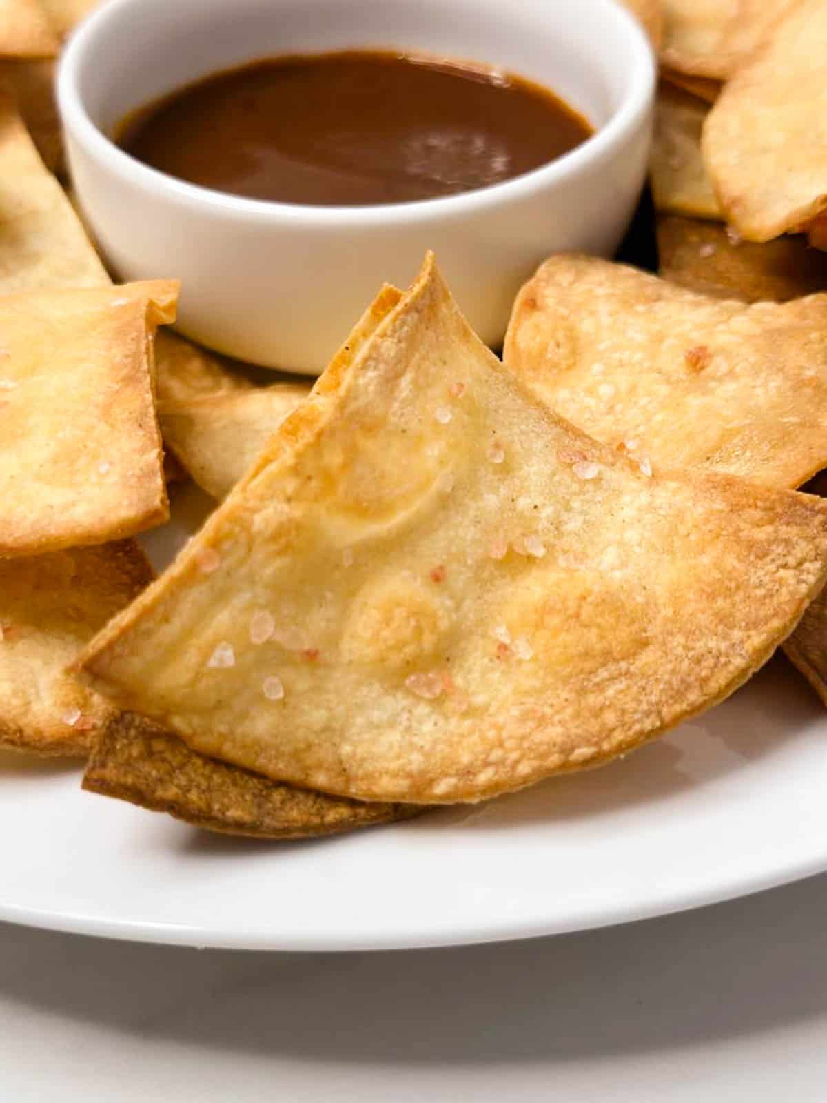 Homemade corn tortilla chip with coarse salt and a dipping sauce.