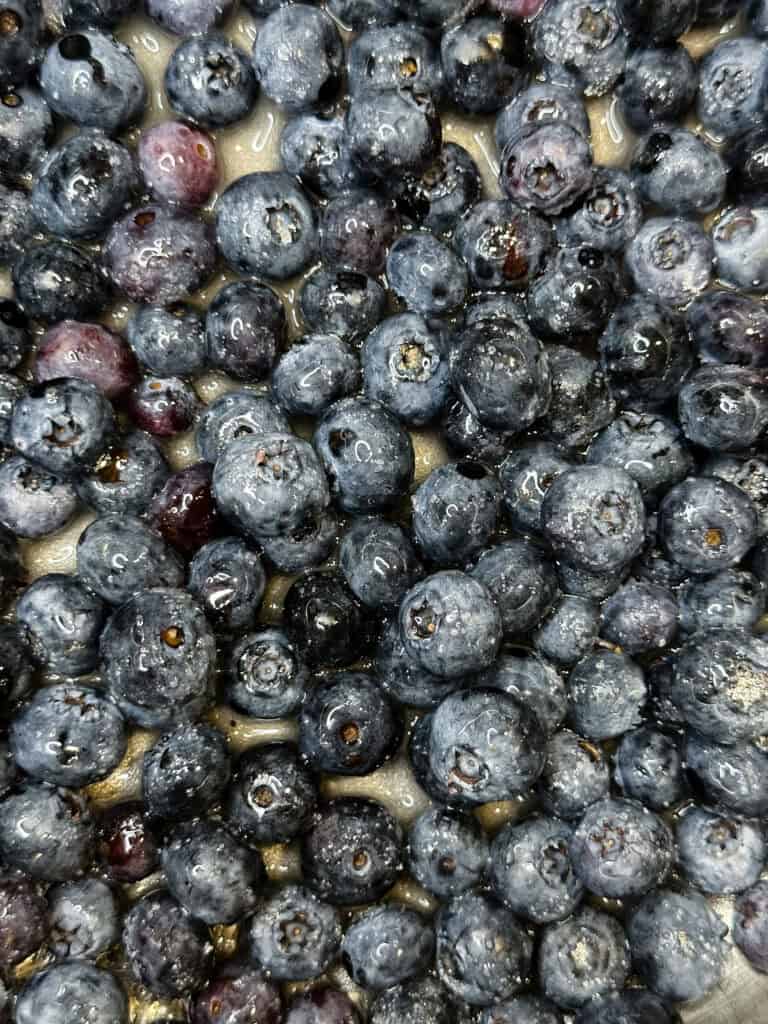 Close up of blueberries, sugar, and water in pot.