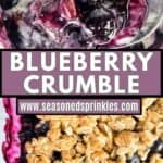 Serving of blueberry crumble with ice cream and a fully baked crumble on bottom. Text reads blueberry crumble, www.seasonedsprinkles.com