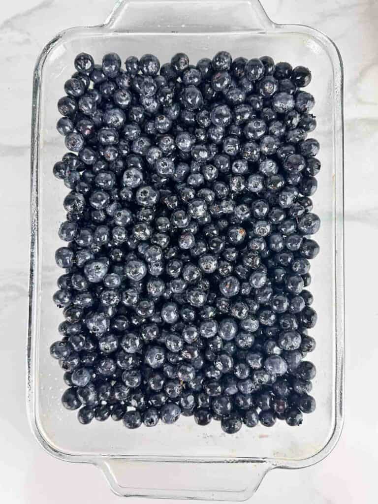 Blueberries spread in a baking dish.