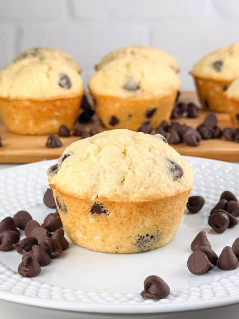 Single chocolate chip muffin on a white plate with chocolate chips on plate and other muffins in the background.