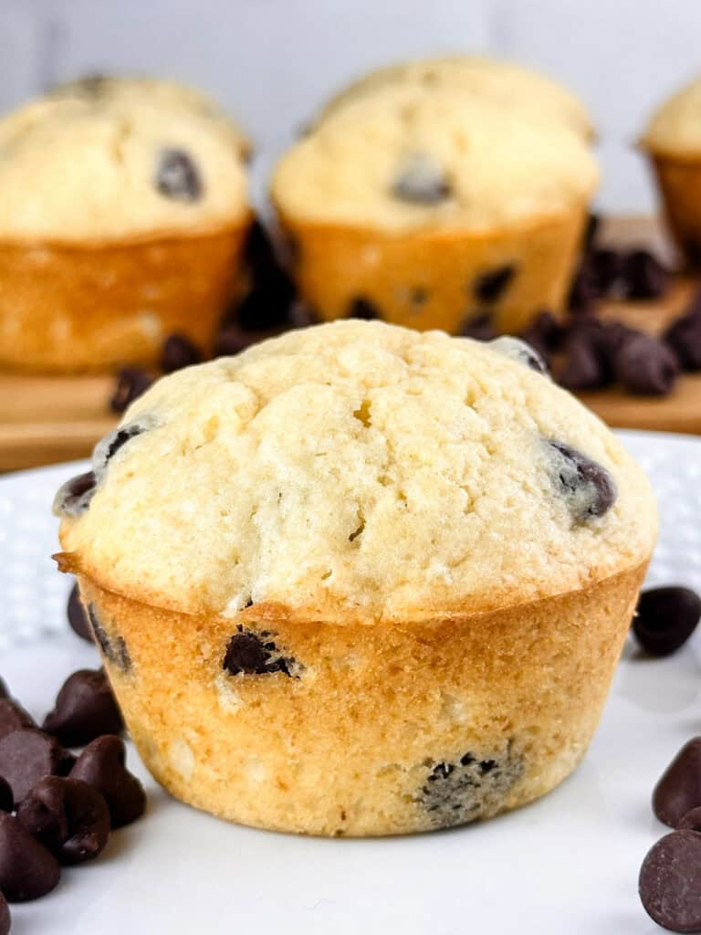 Single chocolate chip muffin on a white plate with chocolate chips on plate and other muffins in the background.