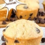 Buttermilk chocolate chip muffin on a plate with additional muffins in back. Text reads chocolate chip muffins with buttermilk, www.seasonedsprinkles.com