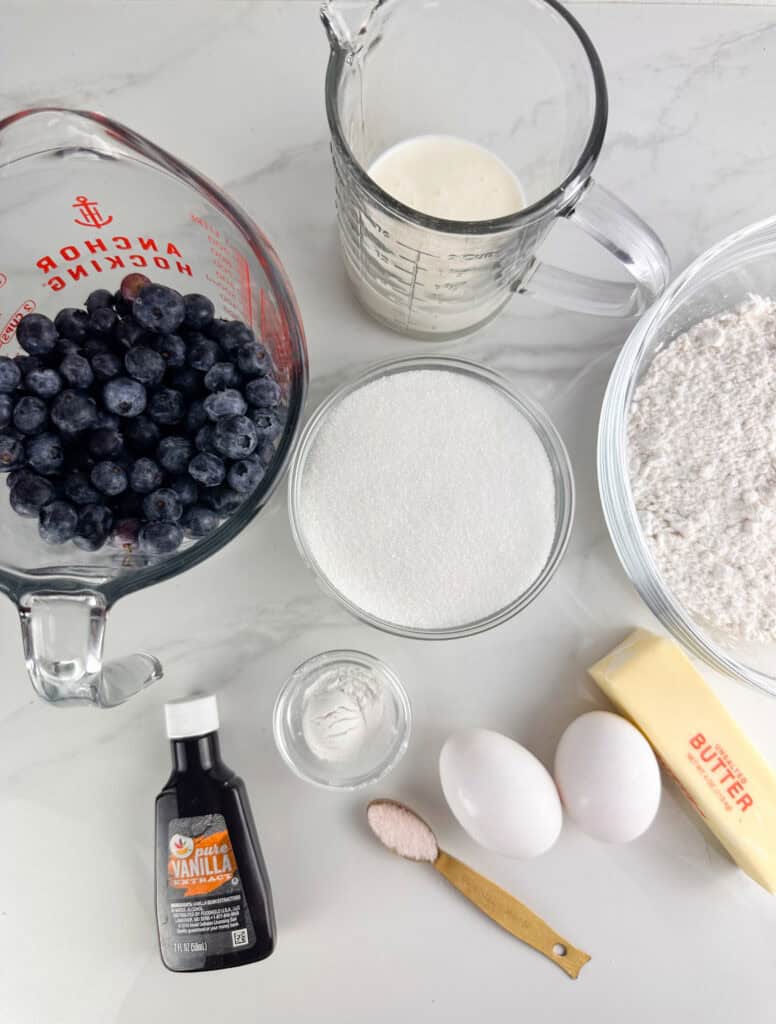 Ingredients for buttermilk blueberry muffins: blueberries, buttermilk, sugar, flour, vanilla, baking powder, salt, eggs, and butter.