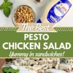 Top image of ingredients, including chicken breasts, pesto sauce, salt and pepper, basil, walnuts, and may. Bottom image shows two pesto chicken salad sandwiches. Text reads the best pesto chicken salad yummy in sandwiches, seasonedsprinkles.com.