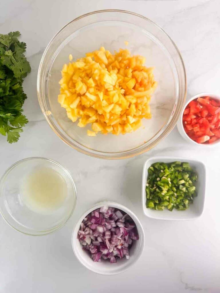 Ingredients for peach salsa: peaches, bell pepper, cilantro, jalapeno, red onion, and lime juice.