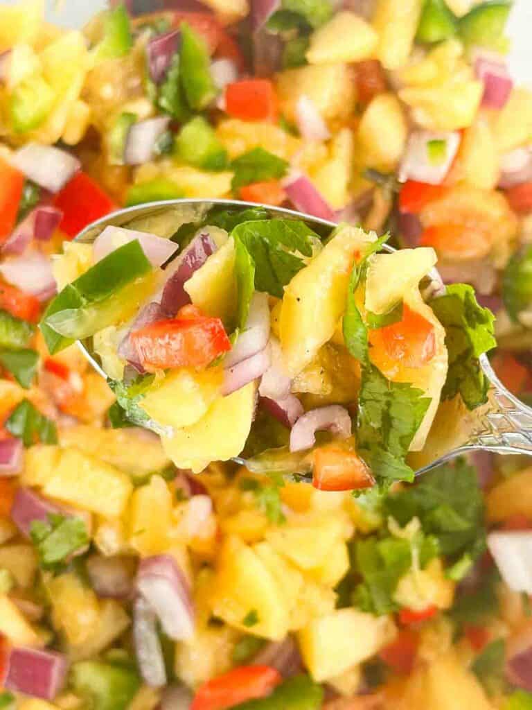 Spoonful of peach salsa over more peach salsa.