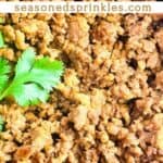 Ground chicken taco meat in a cast iron skillet. Text reads: ground chicken taco meat, seasonedsprinkles.com