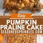 A photo of a slice of pumpkin praline cake collaged with a photo of a casserole dish full of pumpkin praline cake around a decorative text box reading "Easy Pumpkin Praline Cake Seasonedsprinkles.com"