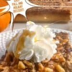 A photo of a slice of pumpkin praline cake set into a decorative text box reading "pumpkin praline cake seasonedsprinkles.com"