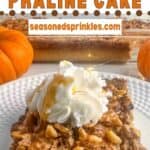 A photo of a slice of pumpkin praline cake set into a decorative text box reading "pumpkin praline cake seasonedsprinkles.com"