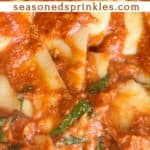 a photo of ravioli with sauce set into a decorative text box that reads "ravioli with tomato sauce seasonedsprinkles.com"