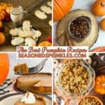 a photo of pumpkin hand pies, a photo of roasted pumpkin seeds, a photo of pumpkin pie, and a photo of pumpkin granola all collaged together around a text box that reads "The Best Pumpkin Recipes seasonedsprinkles.com"