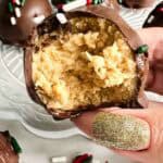 Chocolate peanut butter ball biten in half.