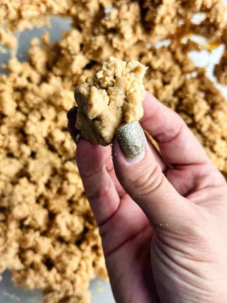 Holding filling for chocolate covered peanut butter balls up to show texture.