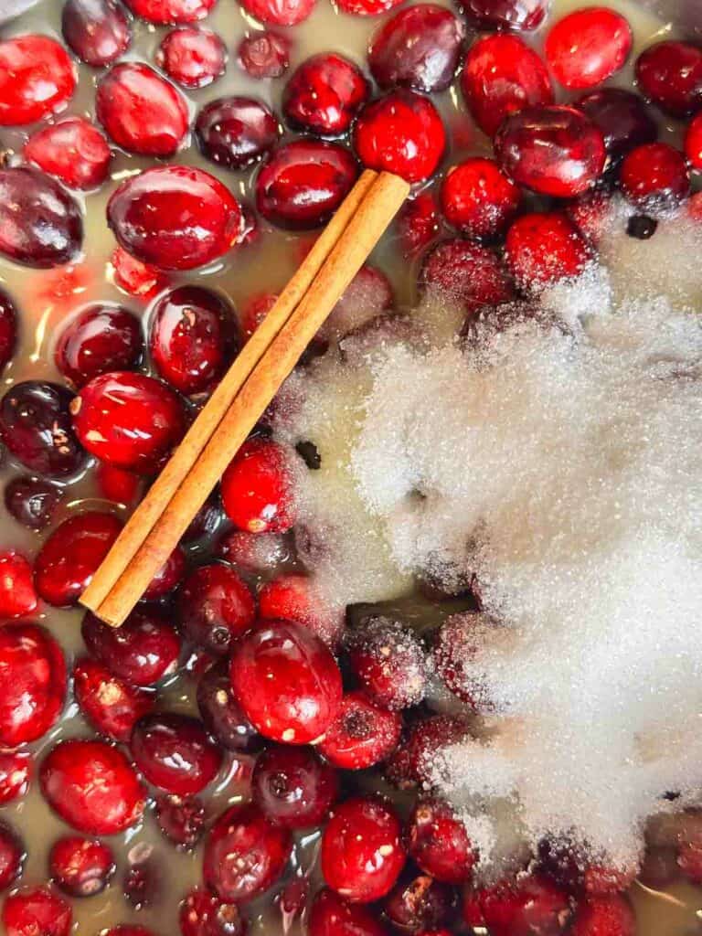 Cranberries, sugar, and a cinnamon stick used to make orange cranberry sauce.