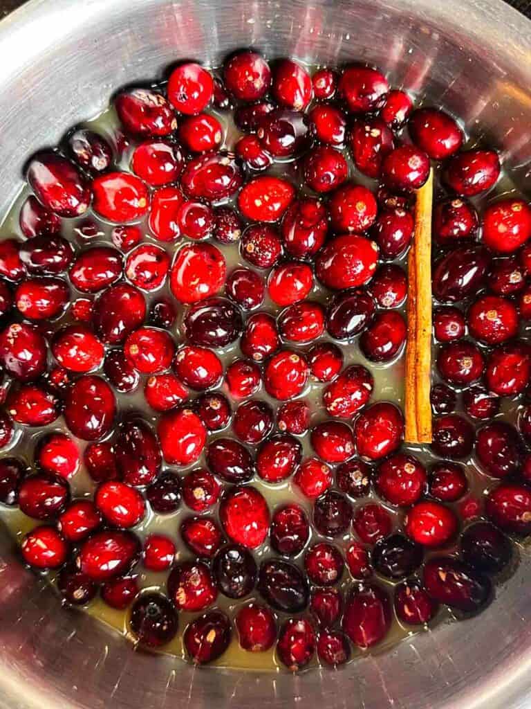 Cranberries, cinnamon stick, and sugar in a pot.