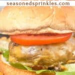a photo of homemade cheeseburgers collaged together around a decorative text box that reads "homemade hamburger recipe seasonedsprinkles.com"